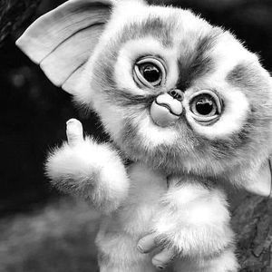 Meet your Posher, Troy